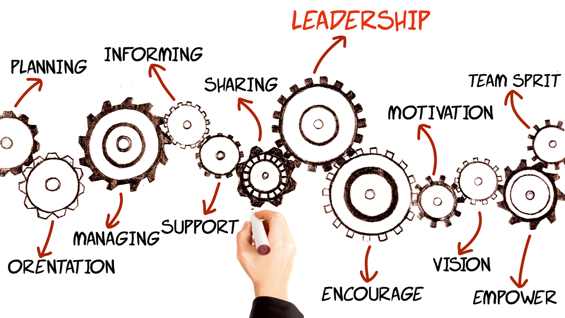Leadership & Growth: The Key Characteristics of Leadership In A Growing Company